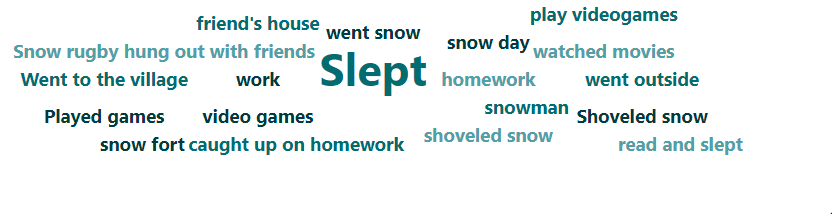 Results of Snow Day Survey