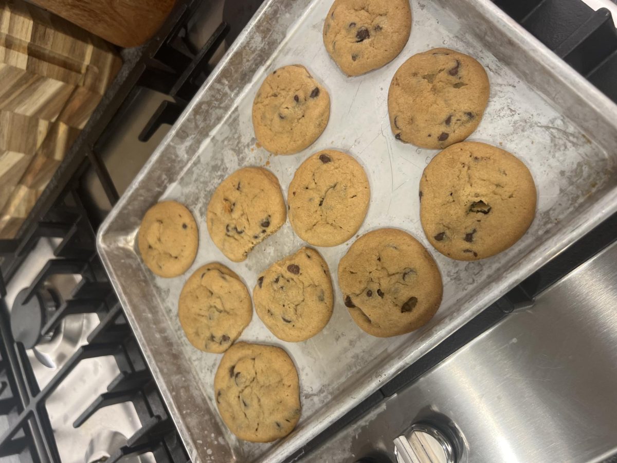 Jake Lloyd's favorite cookie to bake during the holidays, a classic chocolate chip.