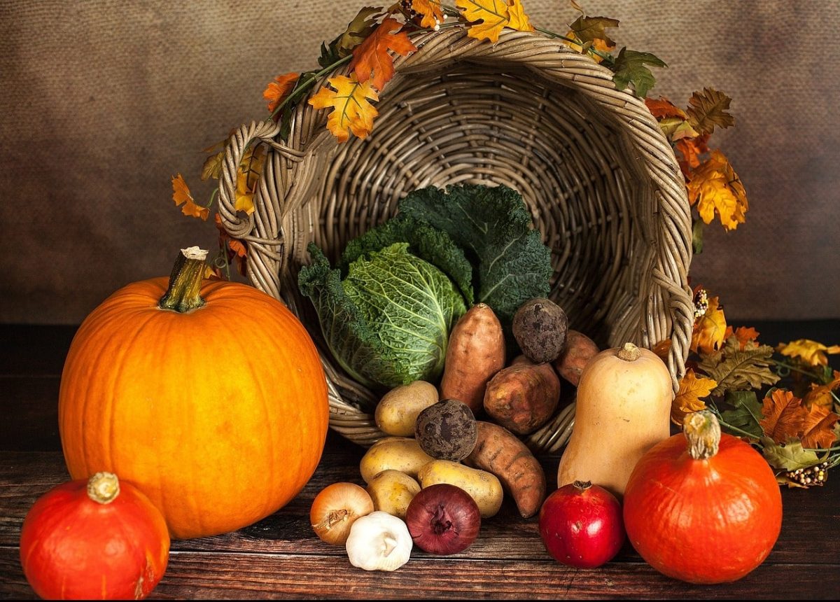 Thanksgiving pumpkins and cornucopia